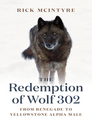cover image of The Redemption of Wolf 302
